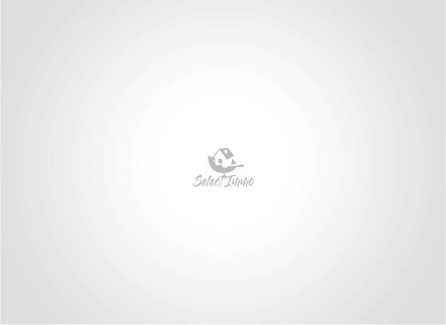 Pas d'image disponible